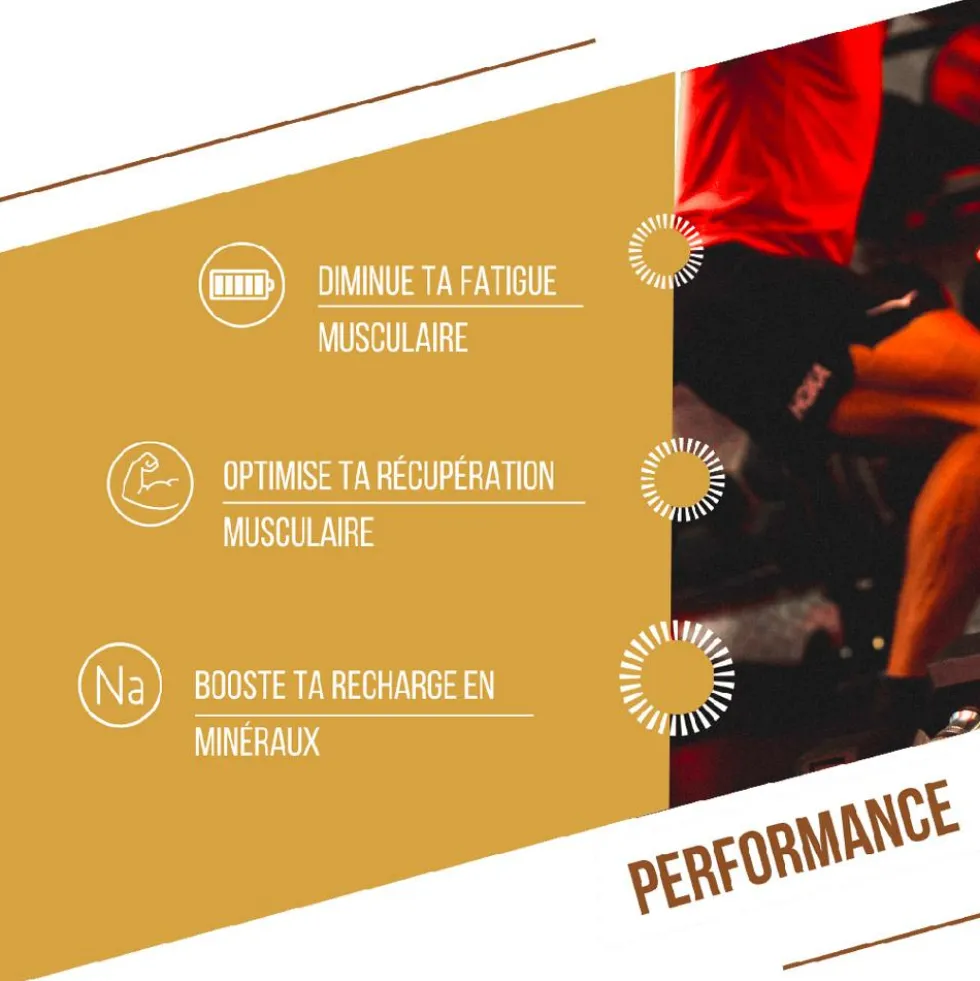 Barrette energetiche Baouw Protéinée Bio 50 g. Pomme & Cannelle