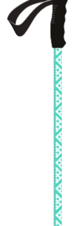 Bastoncini Black Crows Meta Mint White