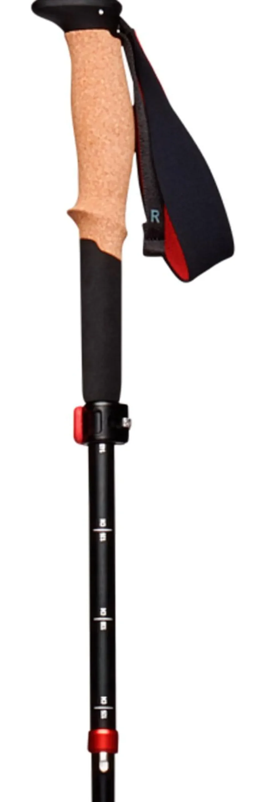 Bastoncini Black Diamond Pursuit Flz Black-Octane