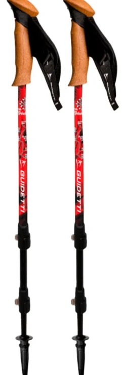 Bastoncini Guidetti Région Alu 62-135 cm Massif des Pyrénées