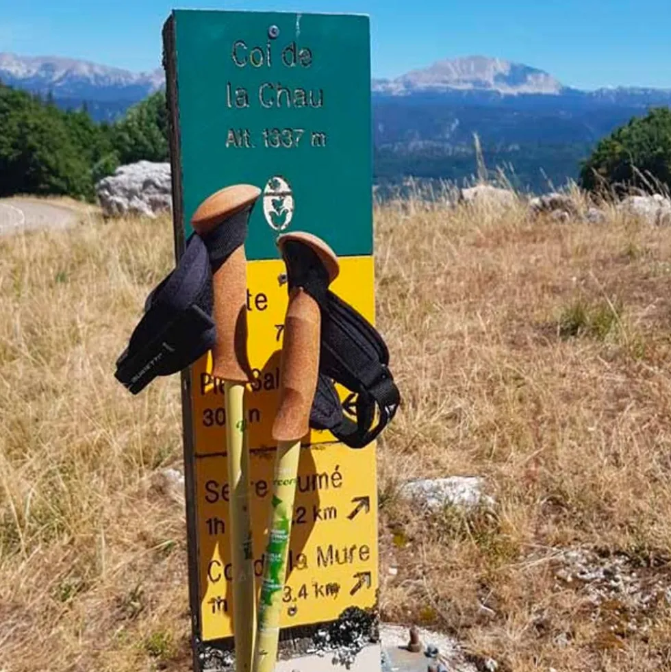 Bastoncini Guidetti Région Alu 62-135 cm Massif Du Vercors