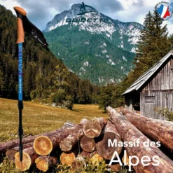Bastoncini Guidetti Région Alu 62-135 cm Massif des Alpes