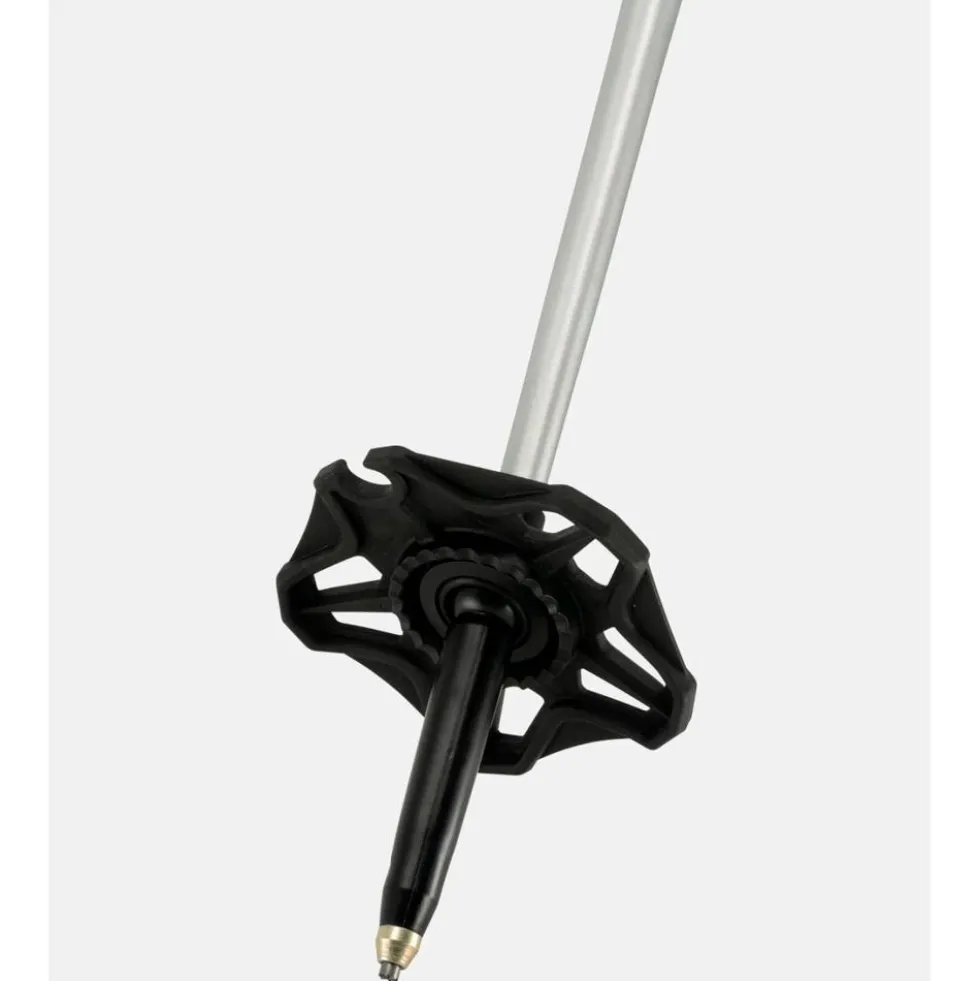 Bastoncini Jones Talon