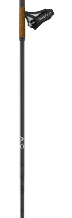 Bastoncini One Way Team 4 Mag Asphalt