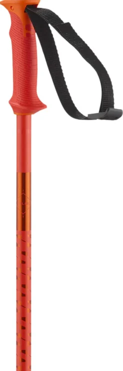 Bastoncini Salomon Polar Cherry Tomato