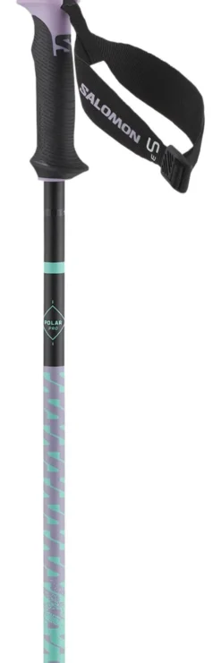 Bastoncini Salomon Polar Pro S3 Lilac