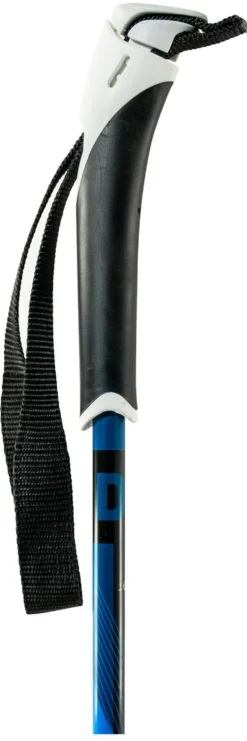 Bastoncini sci di fondo Swix Dynamic D2 Junior Alu Pole