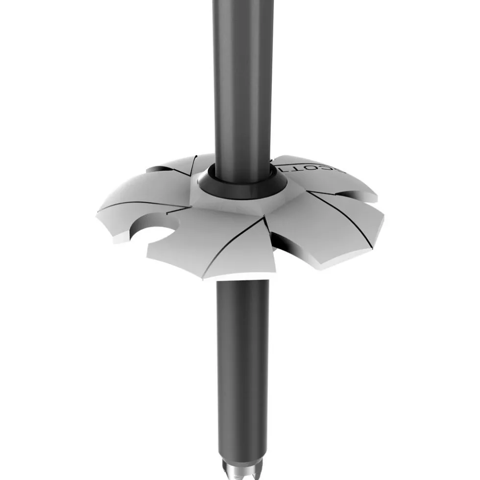 Bastoncini Scott Koko Black Pearl