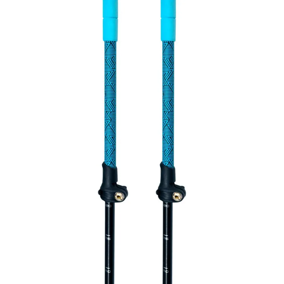 Bastoncini Zag North Vario Blue