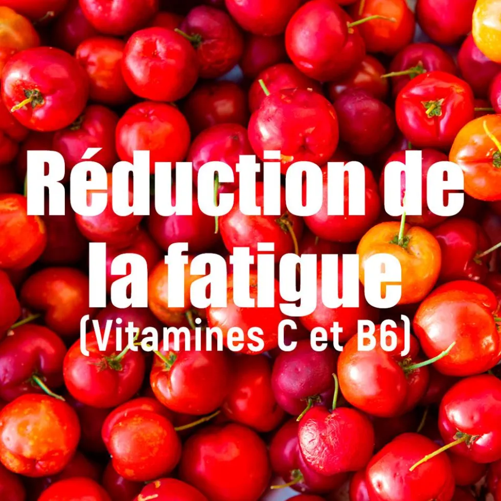 Bevi Overstims Hydrixir Antioxydant 600 g. Fruits Rouges