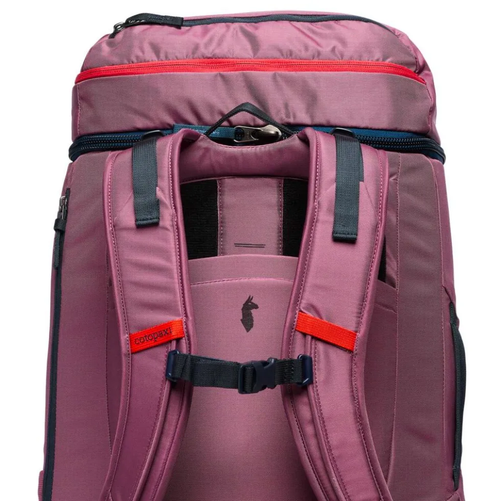Borsone Cotopaxi Allpa 50L Adventure Travel Pack Fig