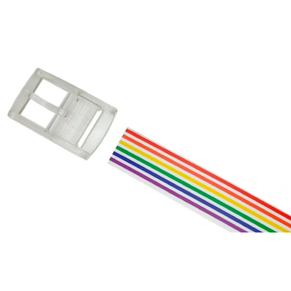 Cintura Skimp Print Stripes Rainbow