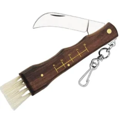 Coltelli Herbertz Couteau à Champignons Bois 11 cm Inox