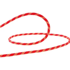 Corde Beal Ice Line 8.1mm Golden Dry (pack of 2) Anis Orange