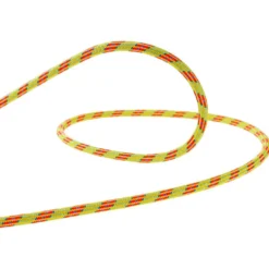 Corde Beal Ice Line 8.1mm Golden Dry (pack of 2) Anis Orange