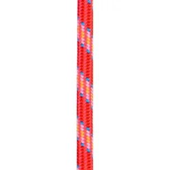 Corde Beal Ice Line 8.1mm Golden Dry Orange