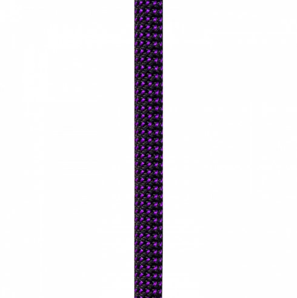 Corde Beal Joker 9.1mm Dry Cover Purple