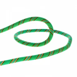Corde Beal Tiger 10mm Dry Cover Green