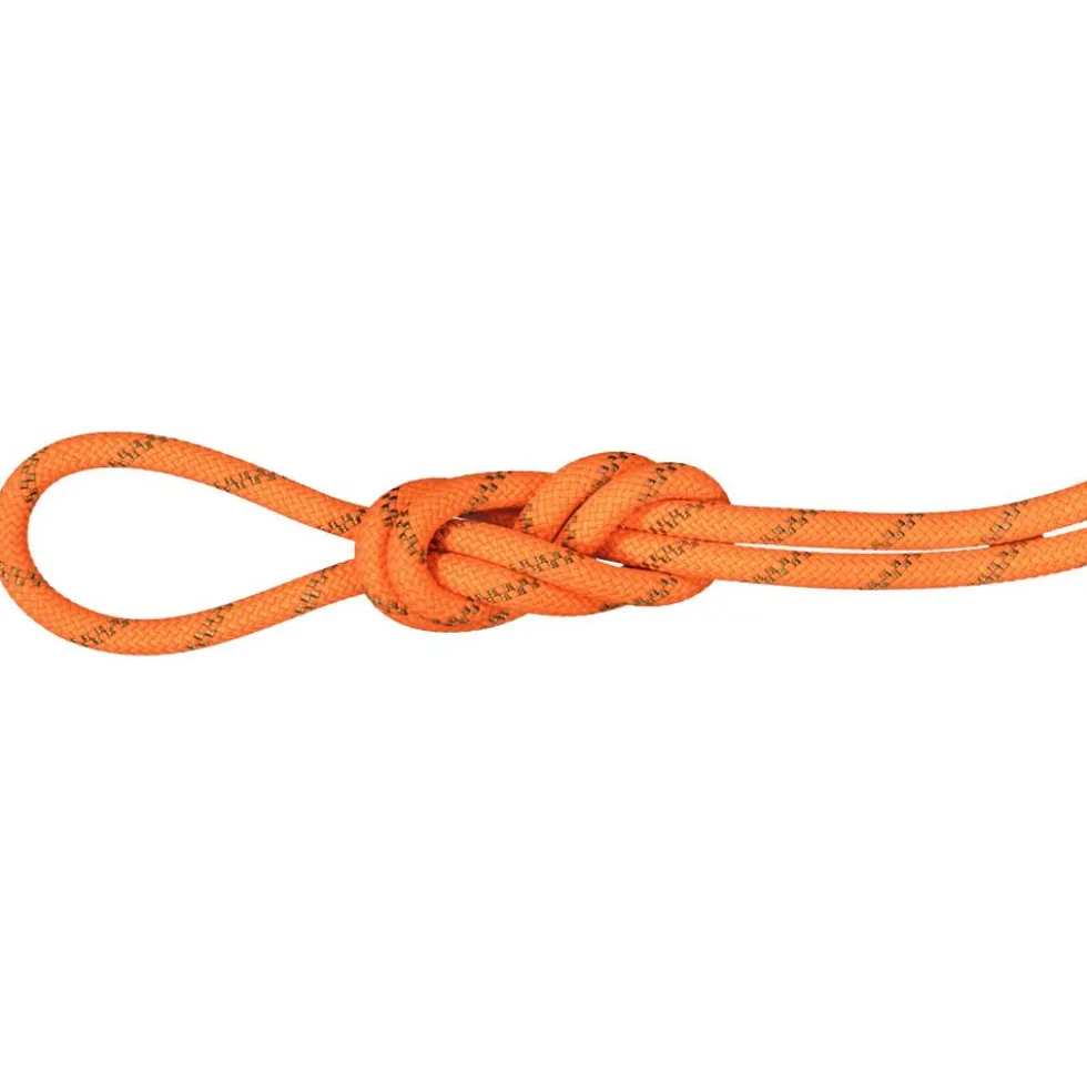 Corde Mammut 8.0 Alpine Dry Rope Vibrant Orange Boa