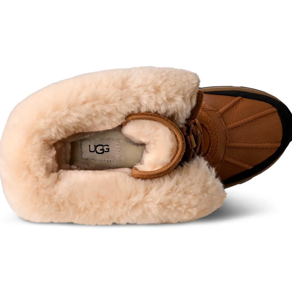 Doposci UGG W Adirondack Boot Tall Xxv Chestnut
