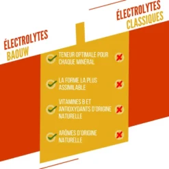 Elettroliti Baouw Pastilles Electrolytes (x10) 50 g. Mangue Ananas