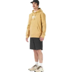Felpa Picture Basement Hoodie Lark