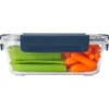 Gavette Yeti Food Storage Medium Translucide Navy