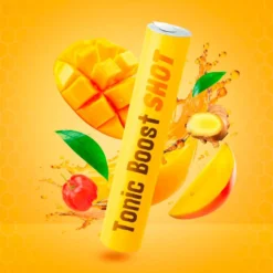 Integratore alimentare Meltonic Tonic Boost Shot Bio Miel Gingembre Gelée Royale Acérola Guarana