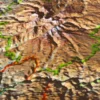 Le Cantal + Cornice