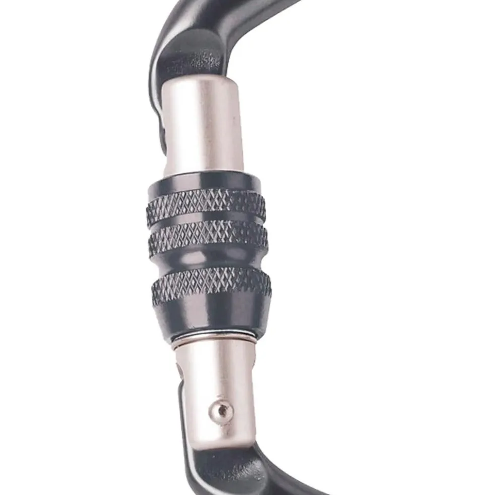 Moschettoni Beal Be Link Screw Black
