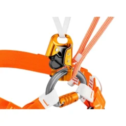 Moschettoni Petzl Omni Triact-Lock