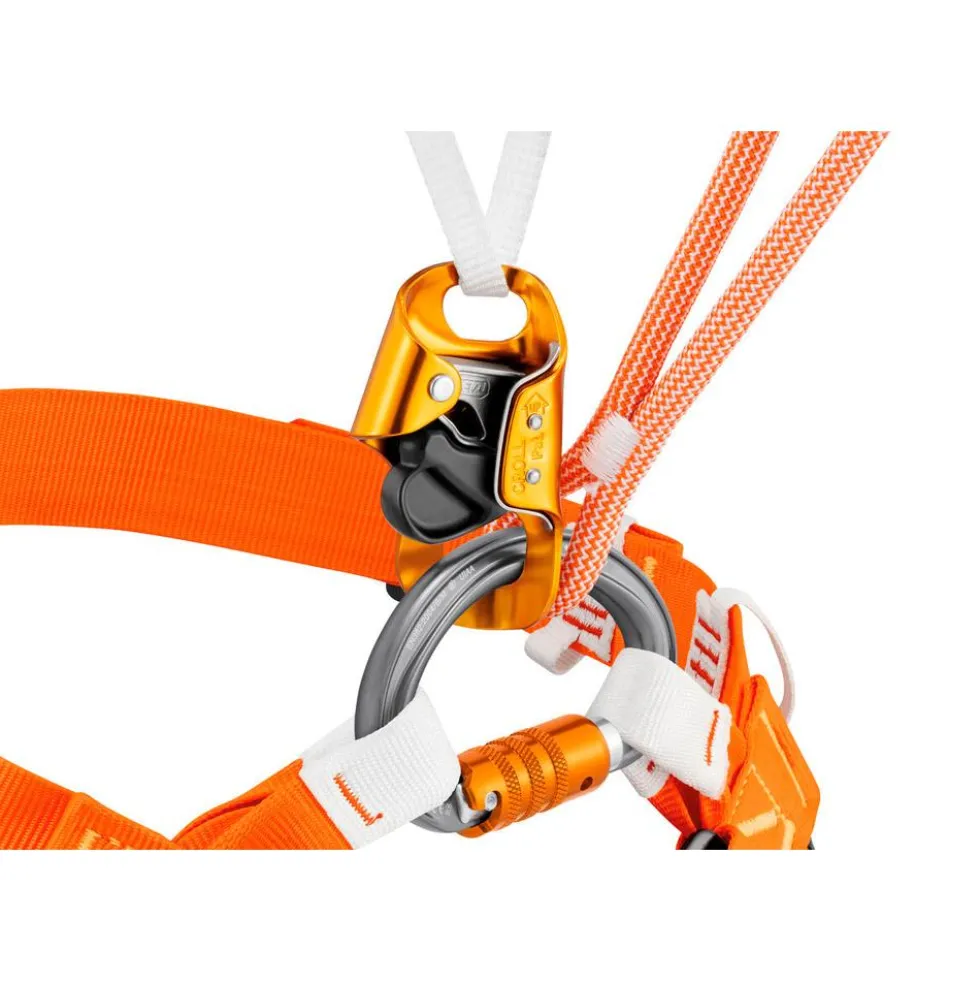 Moschettoni Petzl Omni Triact-Lock