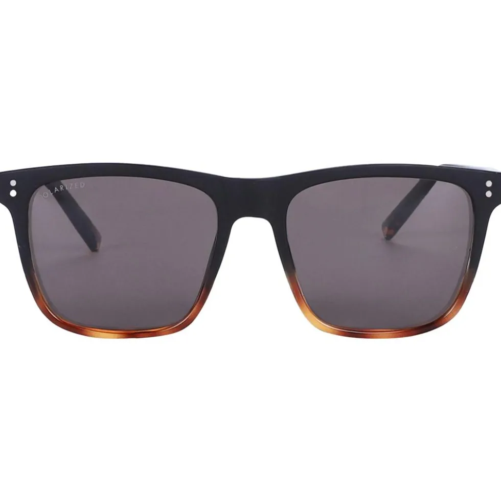 Occhiali da sole AZR Brad Noire Mate Ecaille Polarisant Gris