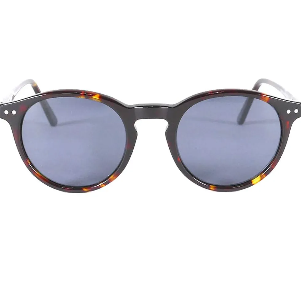 Occhiali da sole Binocle Eyewear California Shiny Tortoise Grey Polarized