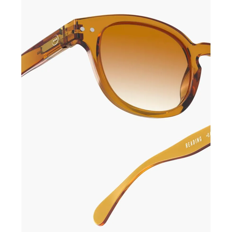 Occhiali da sole Izipizi Sun #C Golden Canyon Brown Shading Polarized
