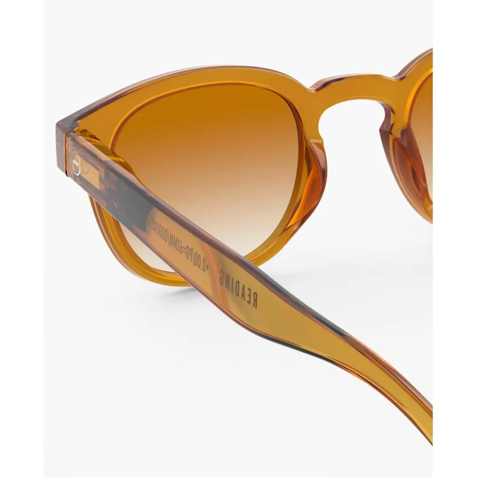 Occhiali da sole Izipizi Sun #C Golden Canyon Brown Shading Polarized