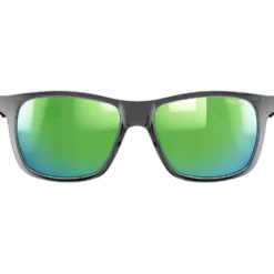 Occhiali da sole Julbo Elwood Translucide Brillant Noir Spectron 3
