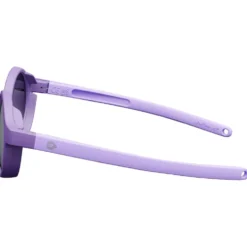 Occhiali da sole Julbo Walker Mat Violé Foncé Violet Spectron 3