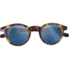 Occhiali da sole Moken Vision Andy Tortoise Blue Cat.2 Gradient Polarized