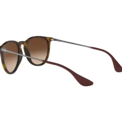 Occhiali da sole Ray Ban RB4171 Erika Classic Matte Havana Brown