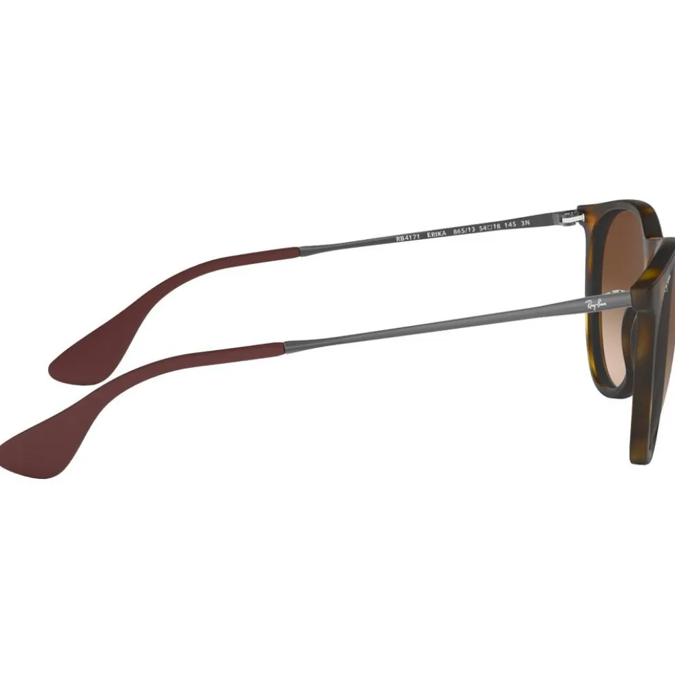 Occhiali da sole Ray Ban RB4171 Erika Classic Matte Havana Brown