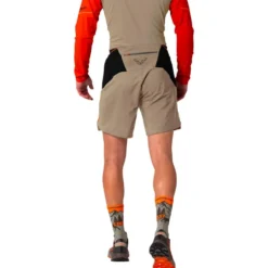 Pantaloncini da trail Dynafit Alpine Pro 2/1 M Fallen Rock