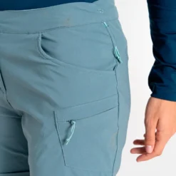 Pantaloncini da trekking DARE2B Melodic III Short Element Grey