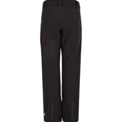 Pantaloni tecnici DARE2B Ice Pant Black