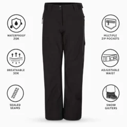 Pantaloni tecnici DARE2B Ice Pant Black