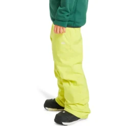 Pantaloni tecnici Quiksilver Estate Youth Pant Yellow Plum