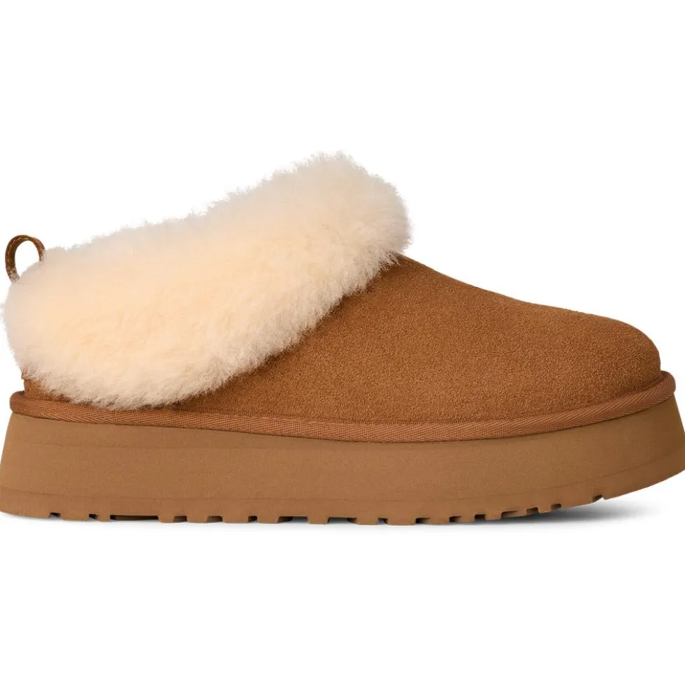 Pantofole UGG W Tazzelle Chestnut