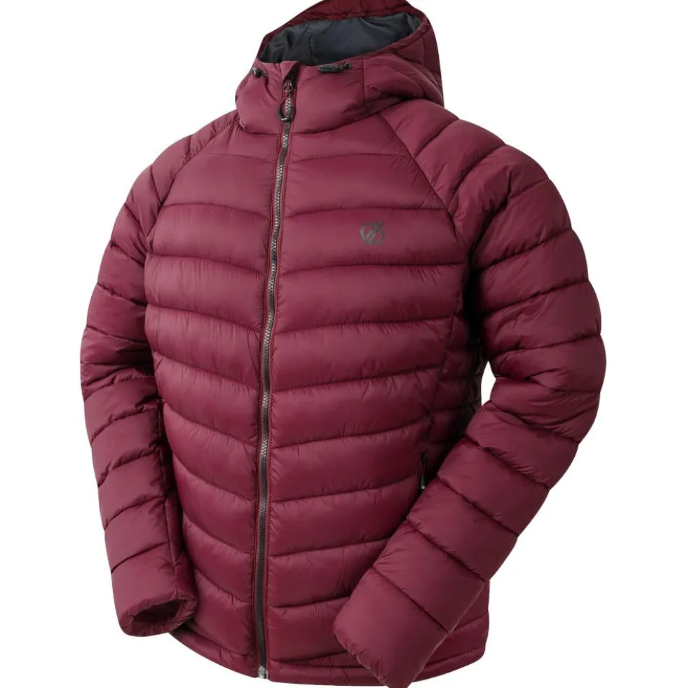Piumino DARE2B Torrek Padded Fig