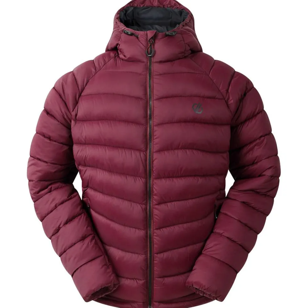Piumino DARE2B Torrek Padded Fig