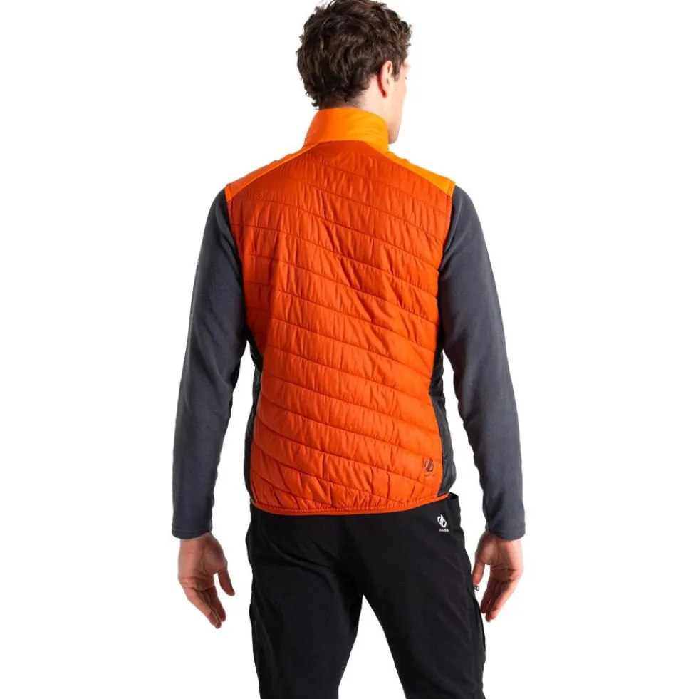Piumino senza maniche DARE2B Touring Puffins Orange Rooibos Tea